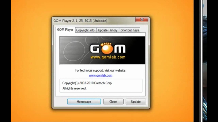 gom player license key ifresi